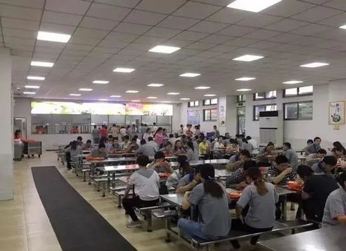 食堂飯菜與會議服務 留住員工的味蕾與歸屬感